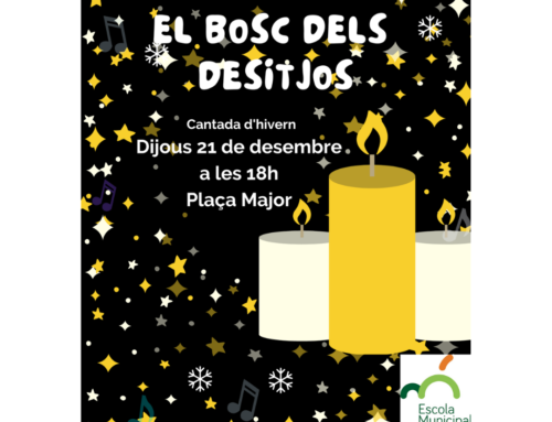 Activitats de desembre